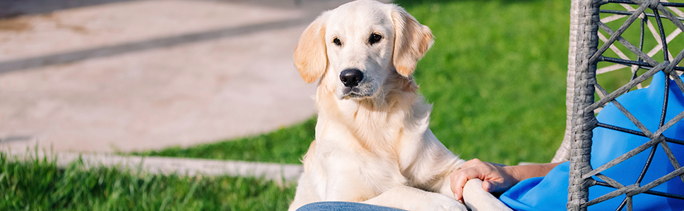 Zu Ihrer Information: